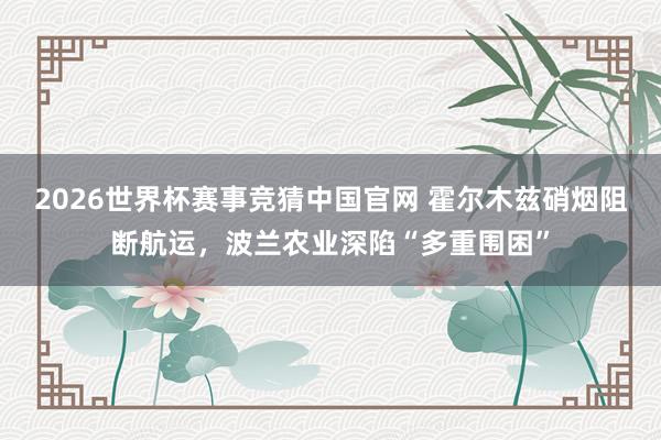 2026世界杯赛事竞猜中国官网 霍尔木兹硝烟阻断航运，波兰农业深陷“多重围困”