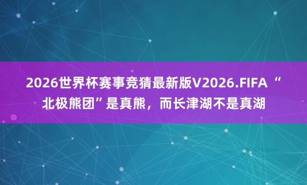 2026世界杯赛事竞猜最新版V2026.FIFA “北极熊团”是真熊，而长津湖不是真湖