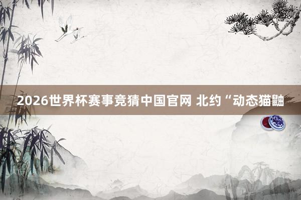 2026世界杯赛事竞猜中国官网 北约“动态猫鼬