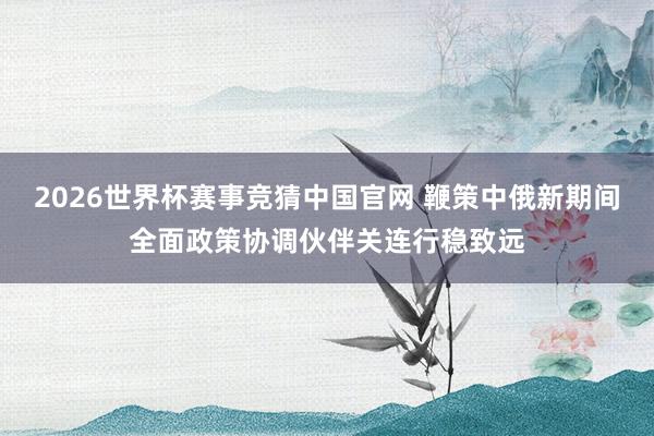 2026世界杯赛事竞猜中国官网 鞭策中俄新期间全面政策协调伙伴关连行稳致远