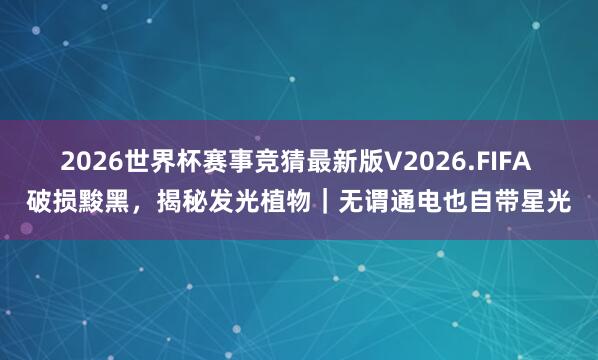 2026世界杯赛事竞猜最新版V2026.FIFA 破损黢黑，揭秘发光植物｜无谓通电也自带星光