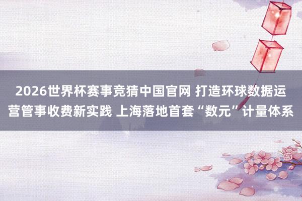 2026世界杯赛事竞猜中国官网 打造环球数据运营管事收费新实践 上海落地首套“数元”计量体系
