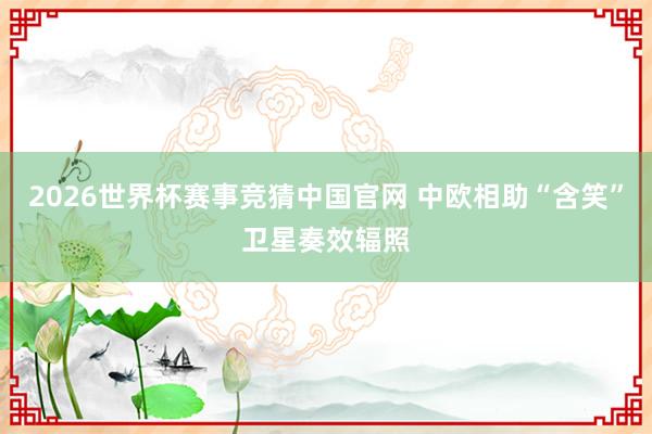 2026世界杯赛事竞猜中国官网 中欧相助“含笑”卫星奏效辐照