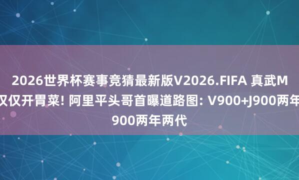 2026世界杯赛事竞猜最新版V2026.FIFA 真武M890仅仅开胃菜! 阿里平头哥首曝道路图: V900+J900两年两代