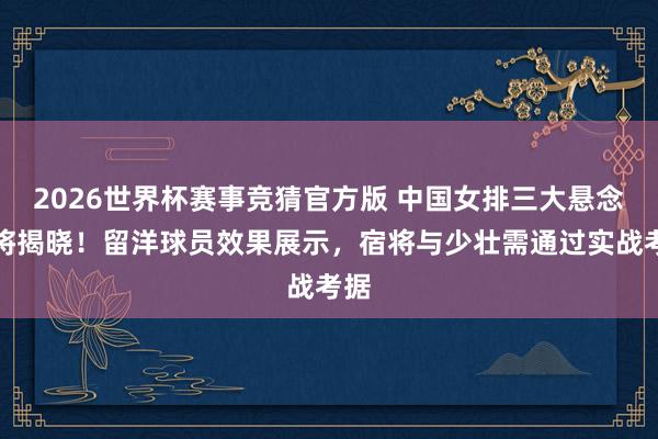 2026世界杯赛事竞猜官方版 中国女排三大悬念行将揭晓！留洋球员效果展示，宿将与少壮需通过实战考据